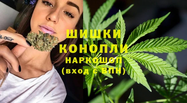 кокс Осташков