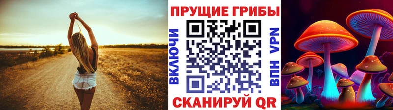 Псилоцибиновые грибы прущие грибы  где купить   Цимлянск 